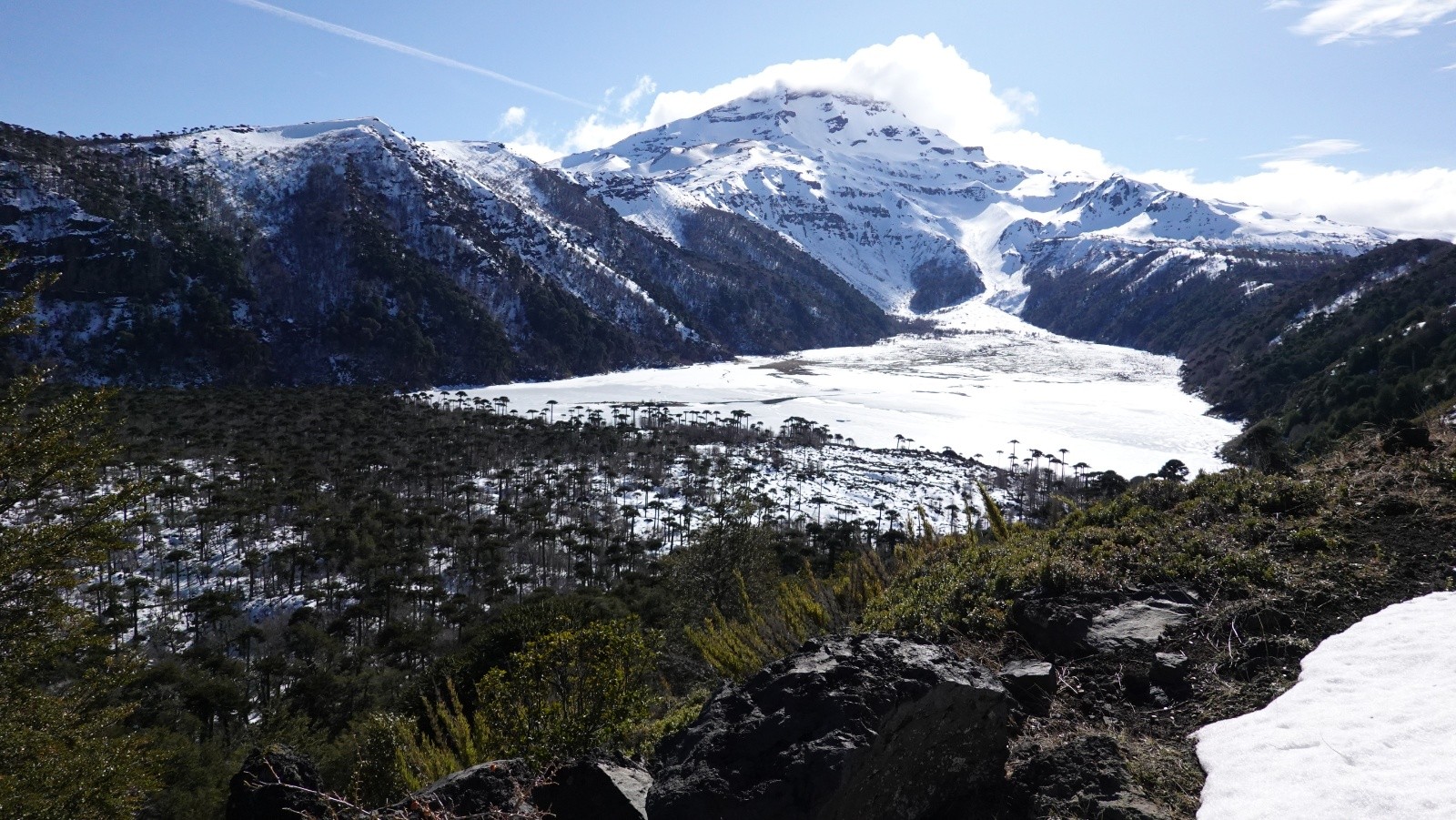 Panorama sur la Laguna Blanca et le volcan Tolhuaca