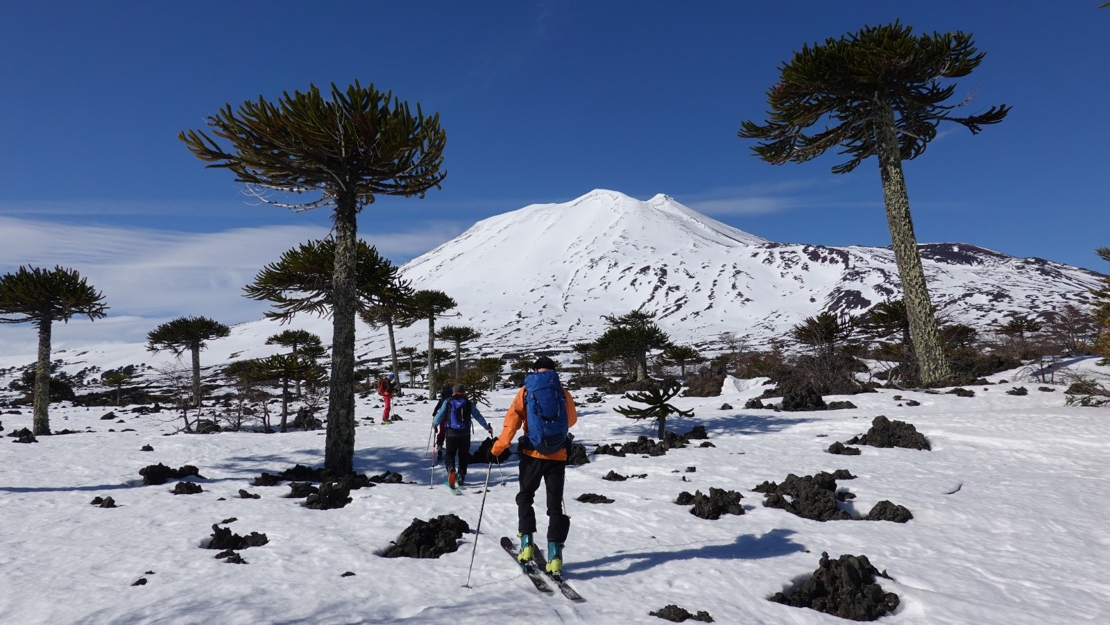 Traversée des coulées de lave AA en direction du volcan Lonquimay