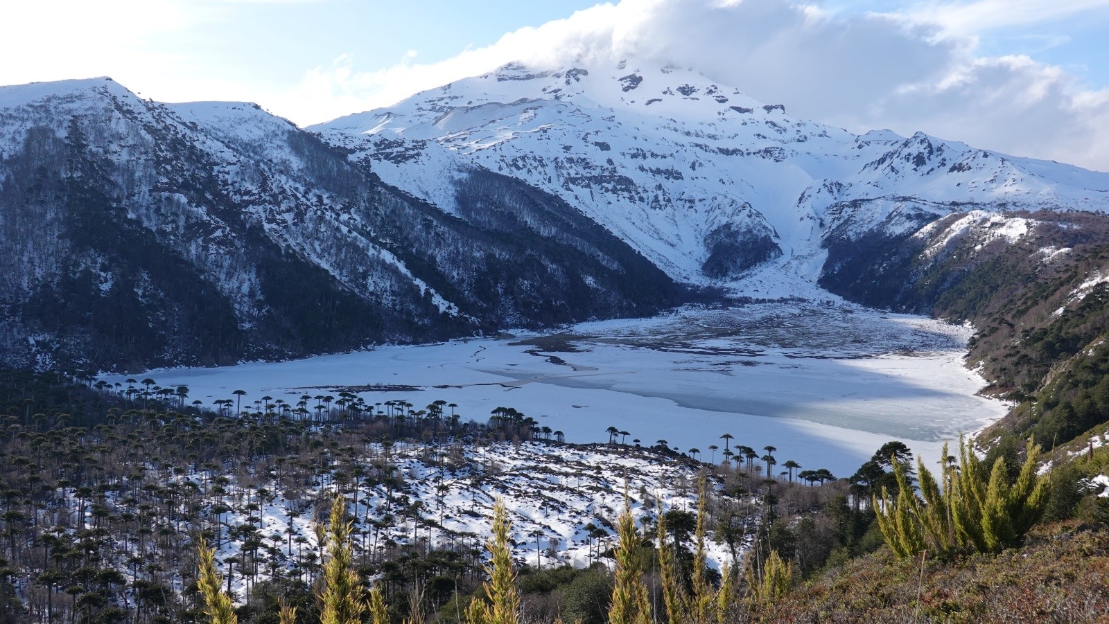 Laguna Blanca et volcan Tolhuaca de fin de journée