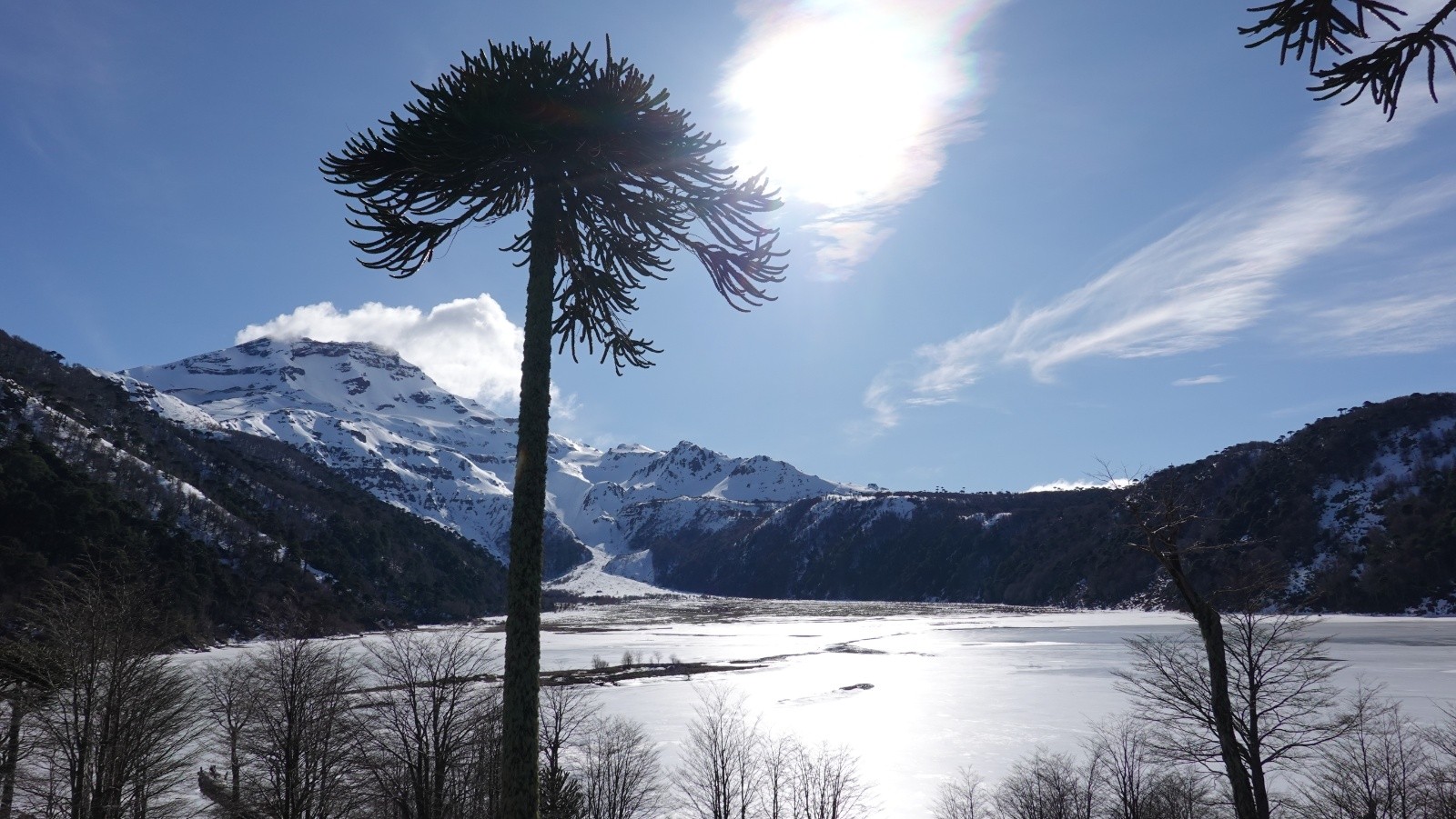 La Laguna Blanca, ses araucarias et son volcan Tolhuaca qui la domine