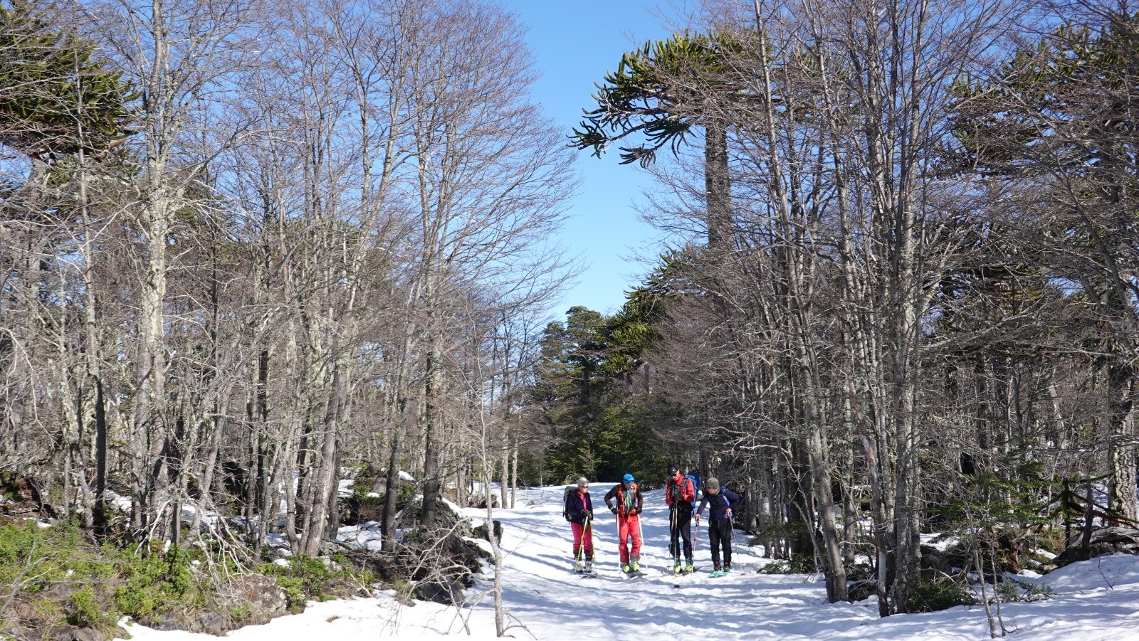 Retour sur la piste principale sous un soleil magnifique et pas de vent à ce niveau