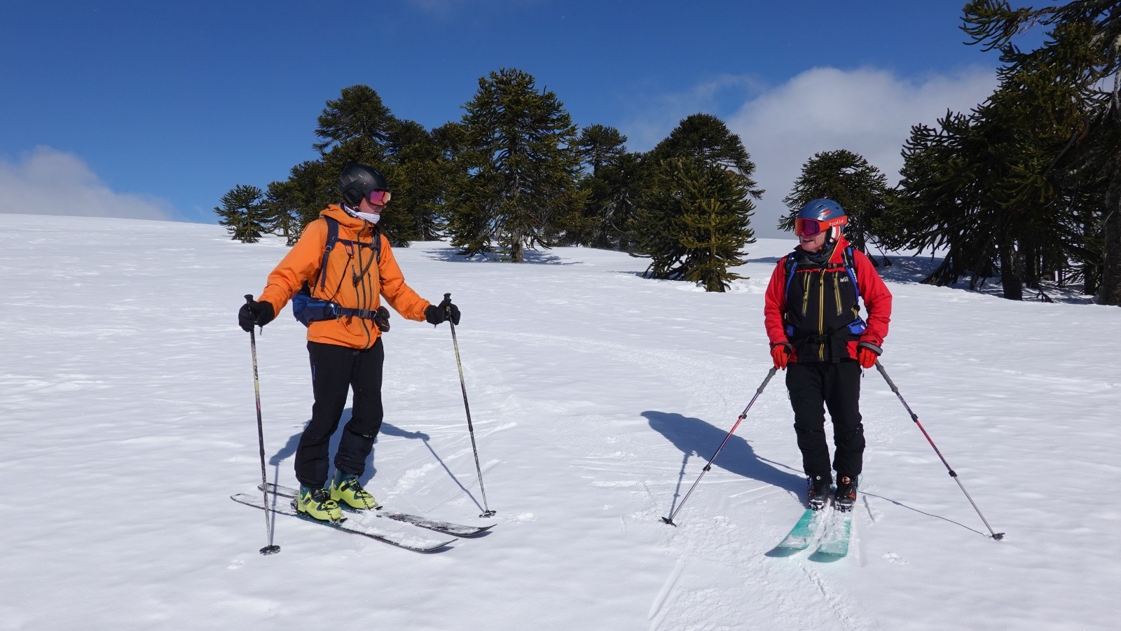 Daniel et Jean juste avant notre pause déjeuner à l'abri du vent dans la forêt d'araucarias