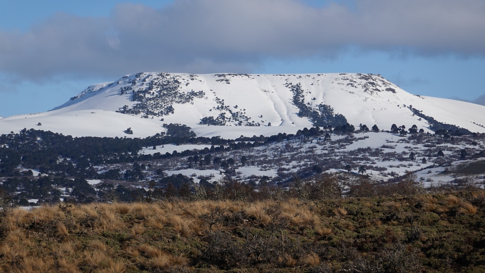 Le volcan Batea Mahuida pris au téléobjectif sur la route du retour : versant chilien