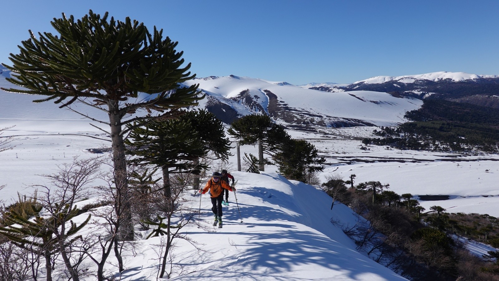 Progression sur la crête avec notre point de départ sur la droite au niveau de la forêt d'araucarias et du complexe hôtelier