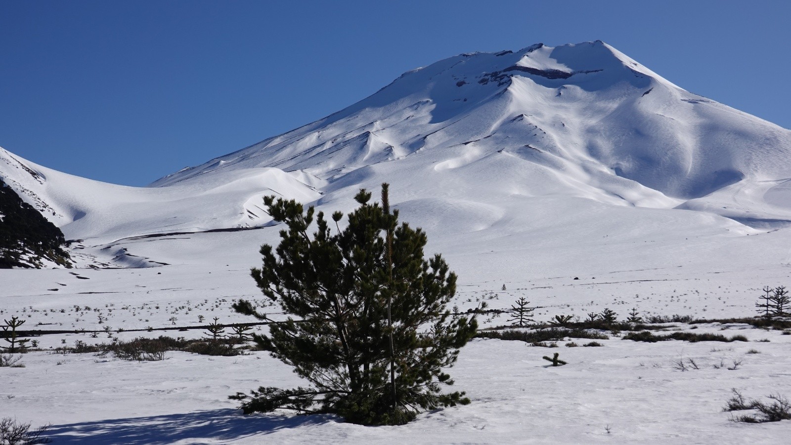 Panorama sur le volcan Lonquimay