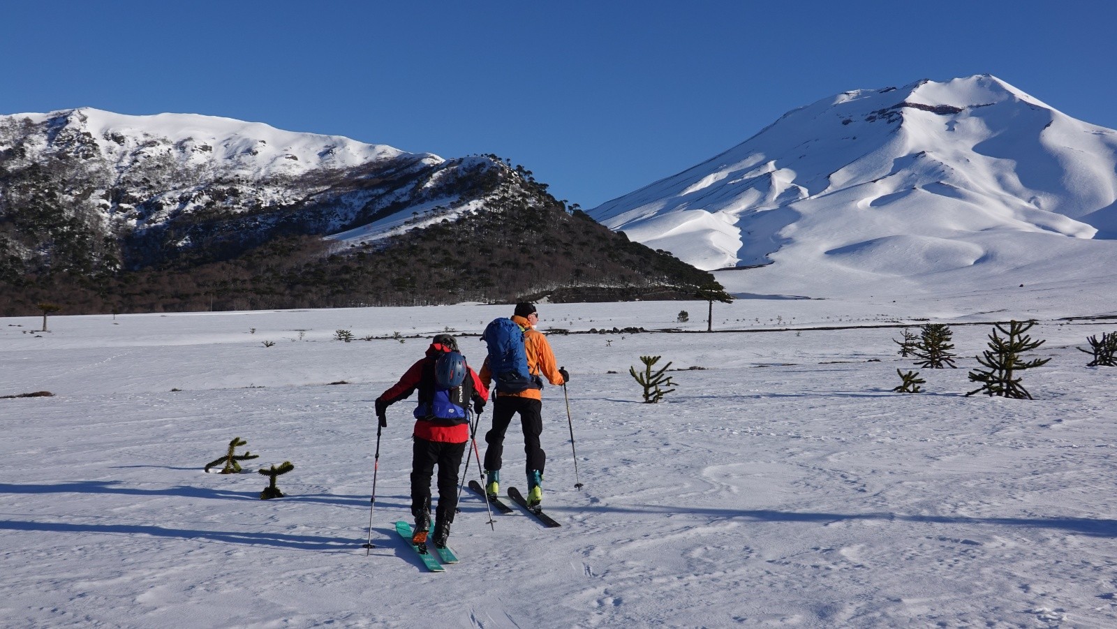 Sur le plateau pour rejoindre la Sierra El Colorado sur la gauche et le volcan Lonquimay à droite