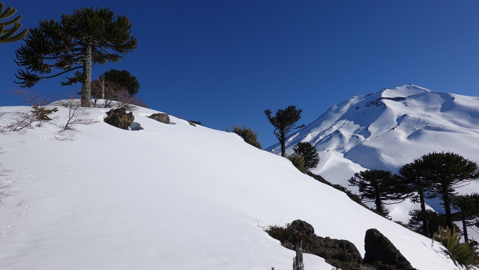 En arrivant sur la ligne de crête de la Sierra El Colorado avec le volcan Lonquimay