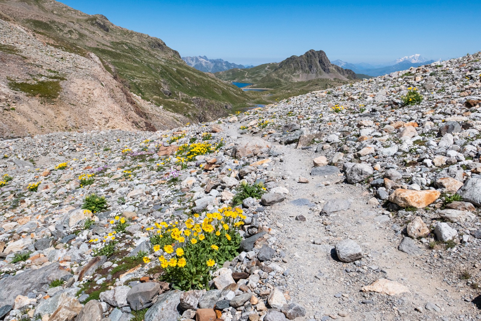 C'est encore le printemps à 2600 