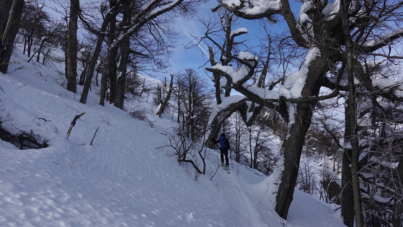 Progression dans le bois au-dessus de la station