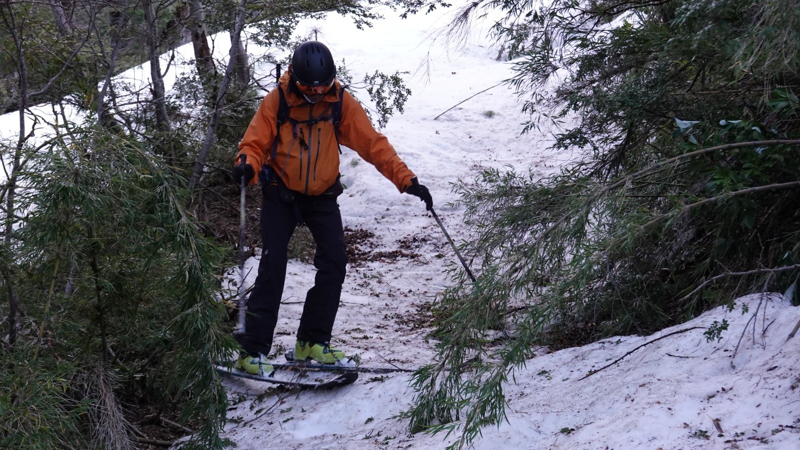 Début du ski \