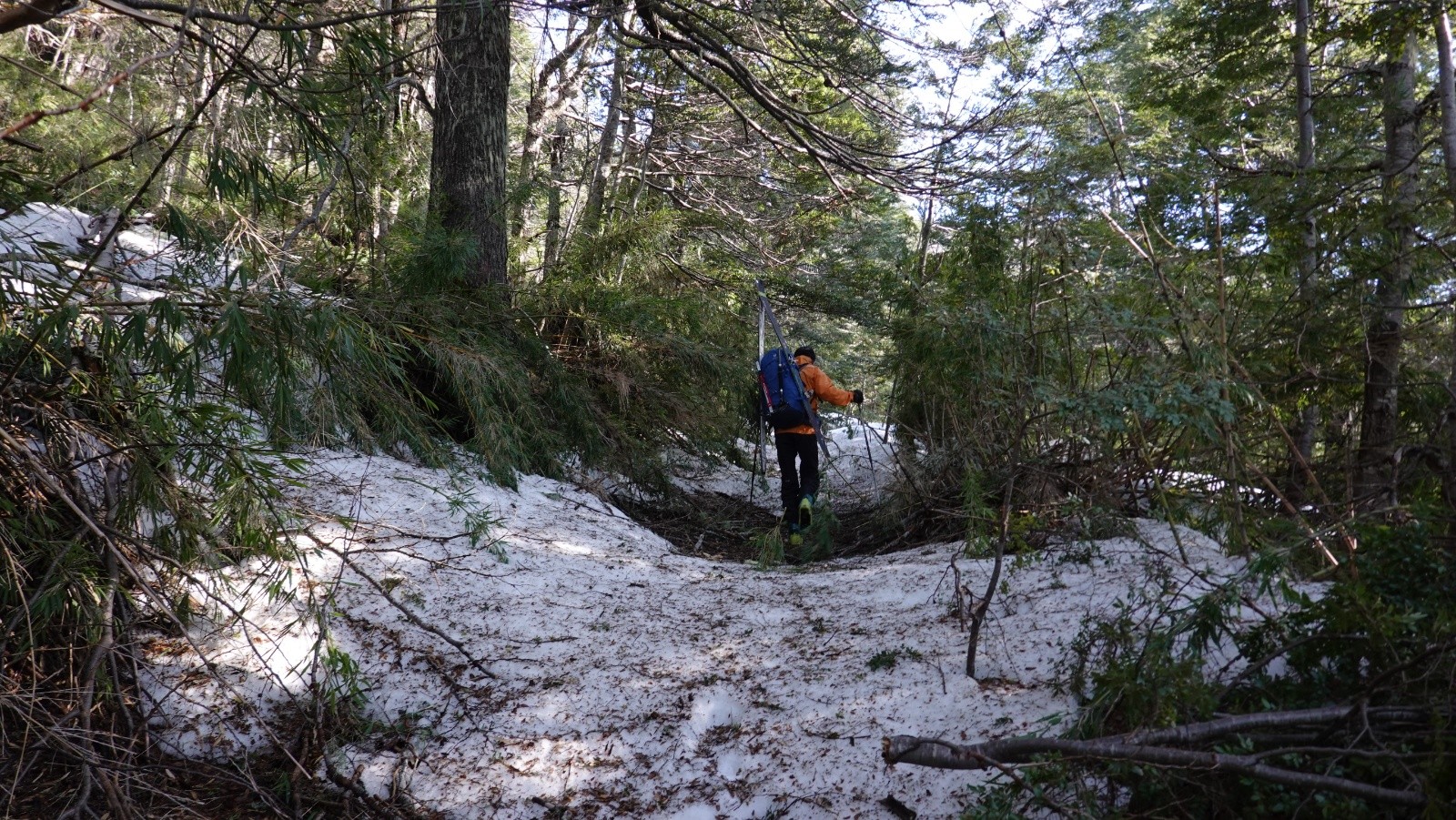 L'itinéraire du fond de la vallée est plus court mains néanmoins moins skiant que l'itinéraire classique au départ en raison de la végétation extrêmement dense  