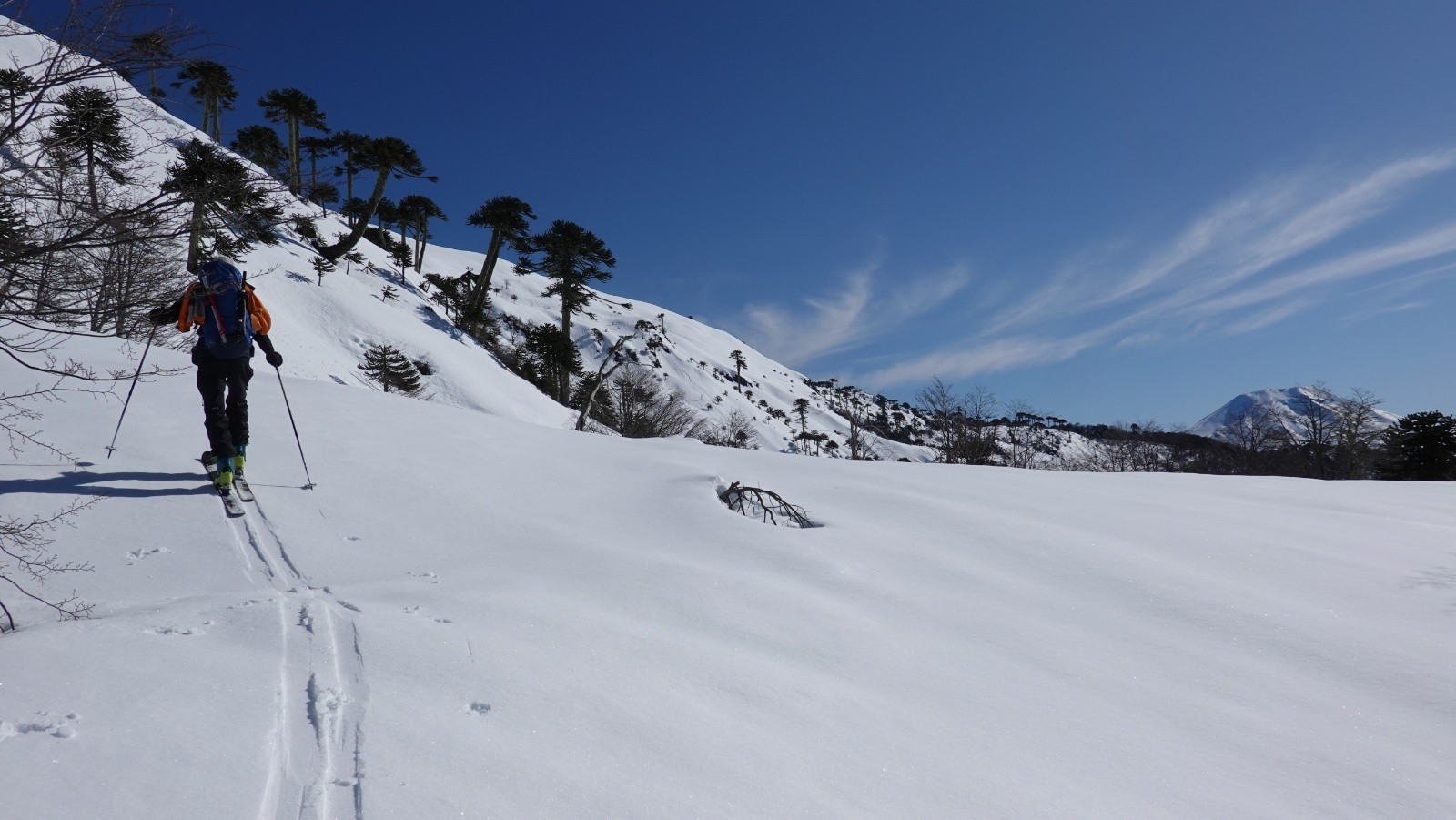 Le volcan Lonquimay commence à apparaitre