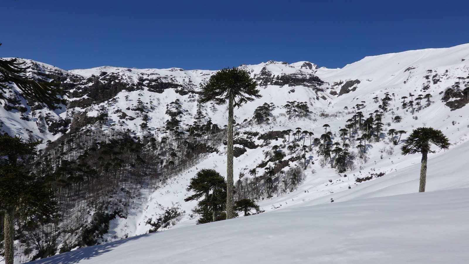 Le stratovolcan de la Sierra Nevada