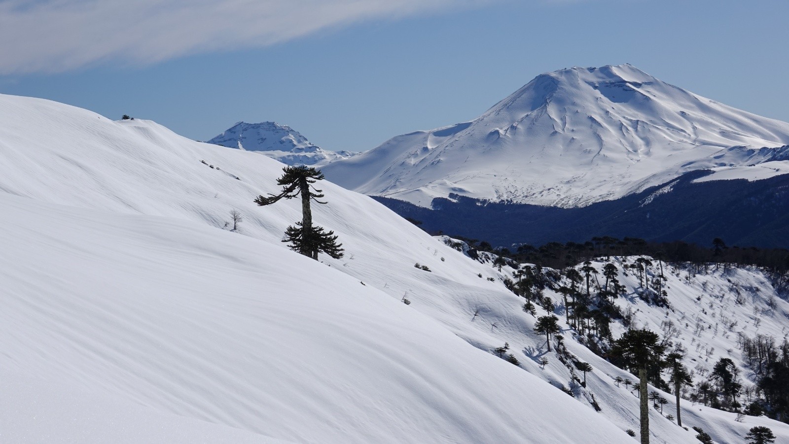 Les volcans Toluhaca et Lonquimay pris au téléobjectif