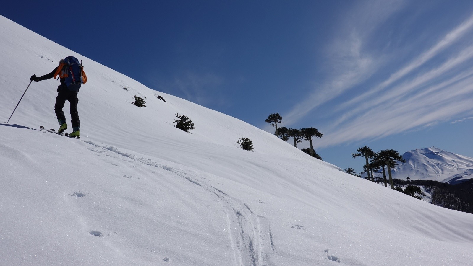 Cheminement sauvage et splendide