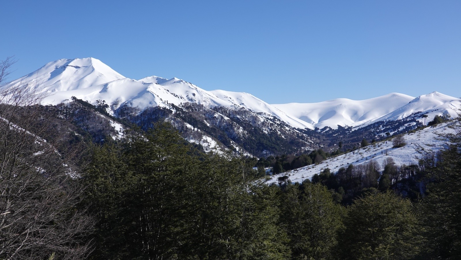 Vue panoramique peu après le départ sur le volcan Lonquimay et le Cerro Cautin