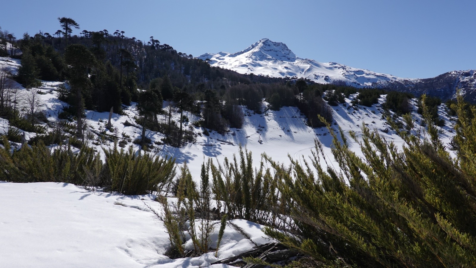 Au niveau du Lago Seco, le volcan encore loin