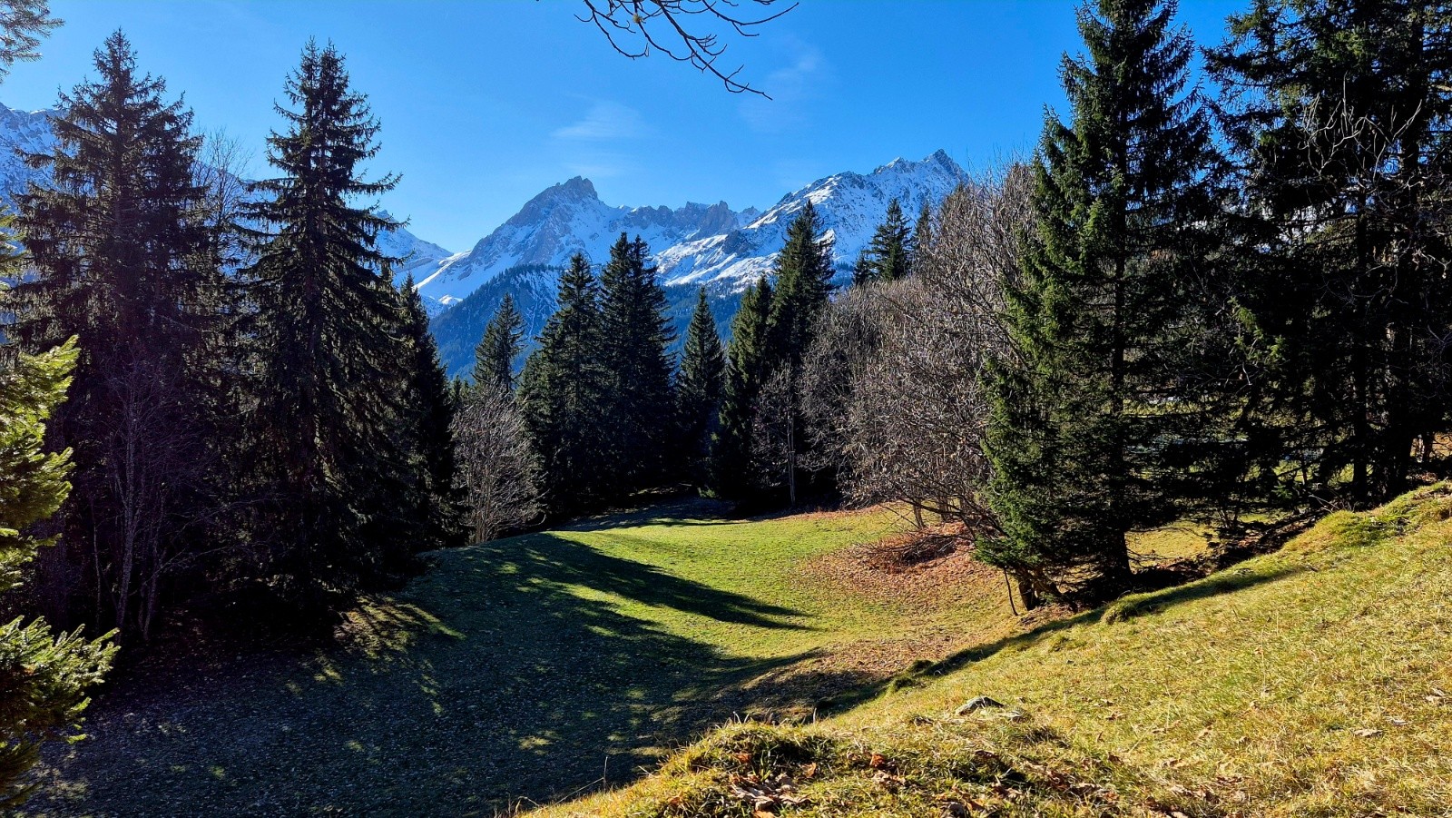 Belle ballade à pied avant la neige 