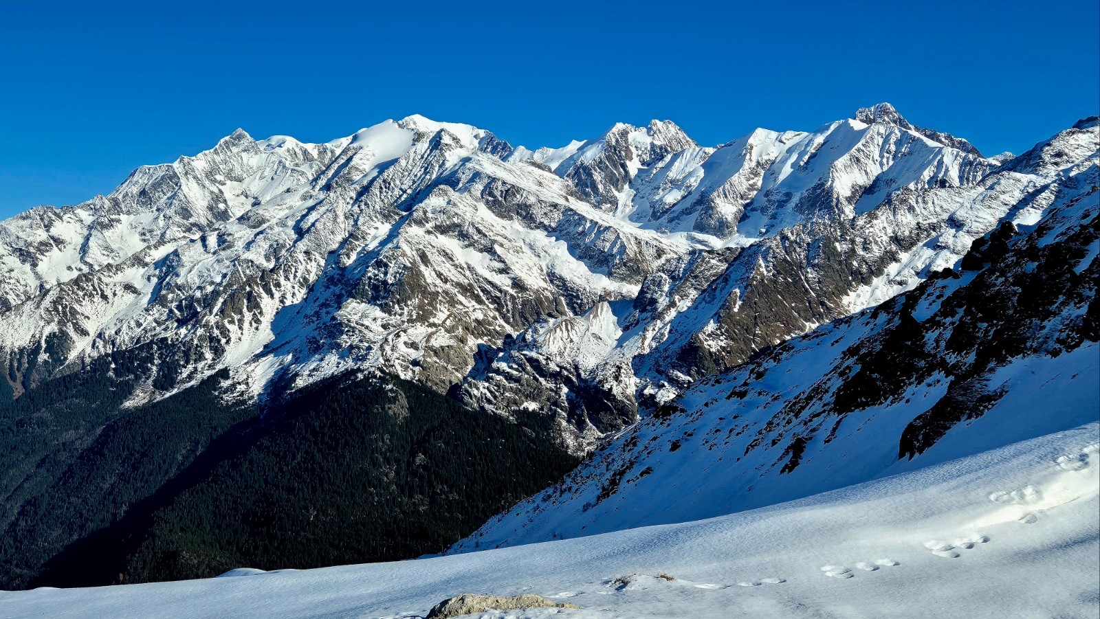  Le maître des lieux .... toujours aussi grandiose