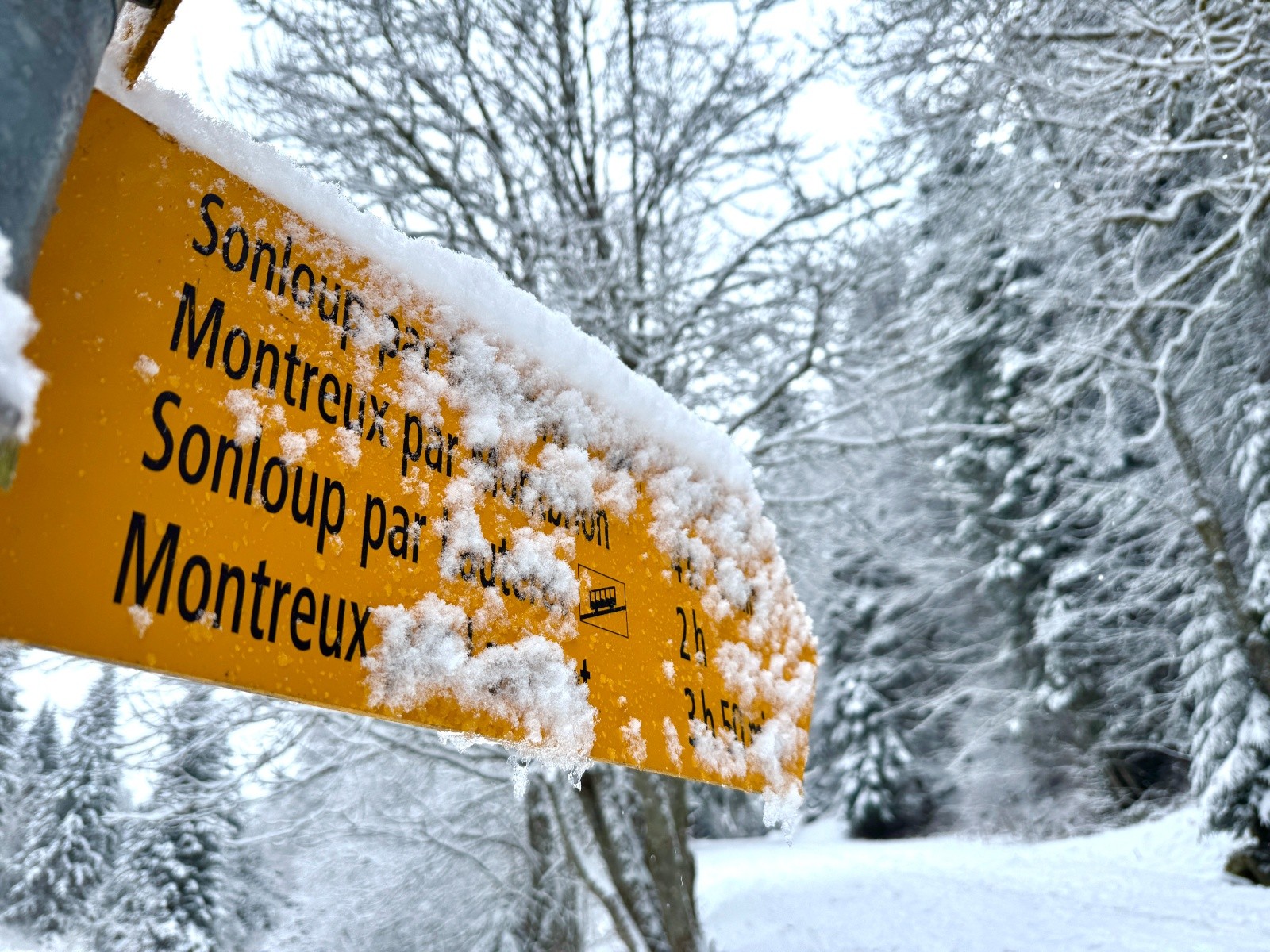 Départ skis aux pieds
