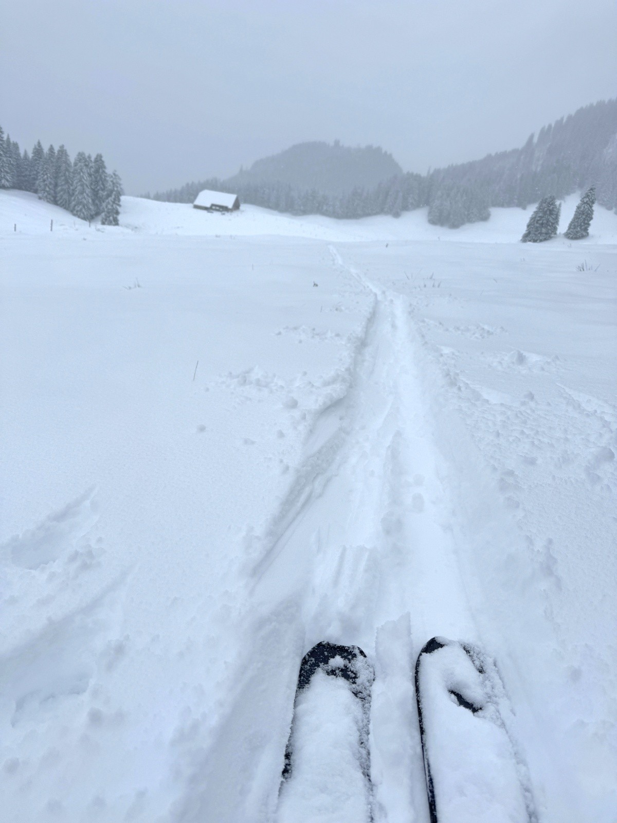 Regard dans le rétro