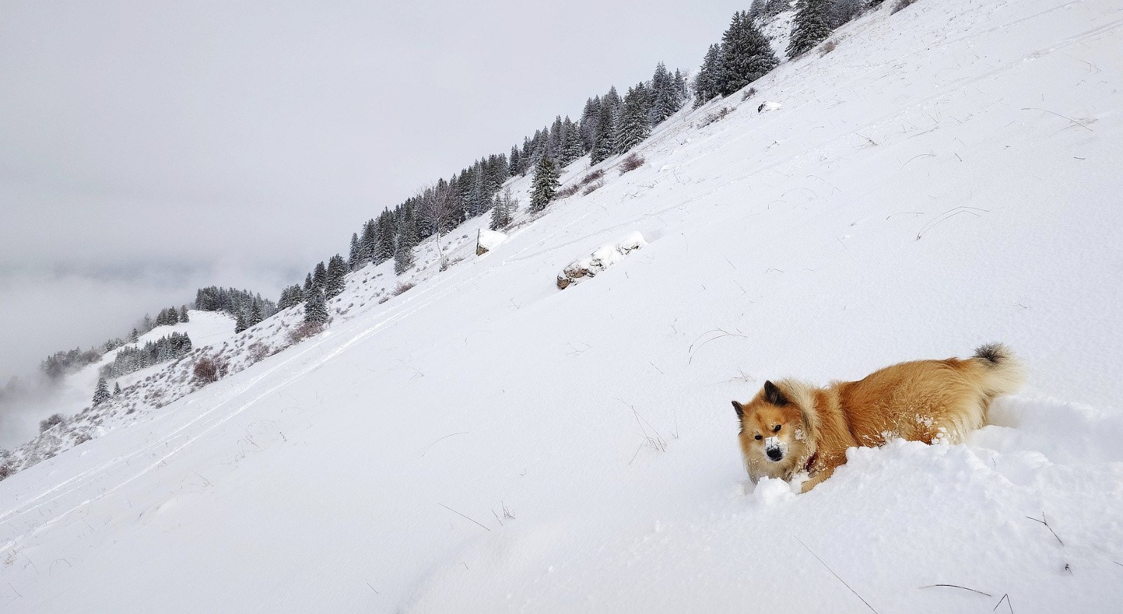 Dans les starting-blocks... 3, 2 ,1, skiez ! 