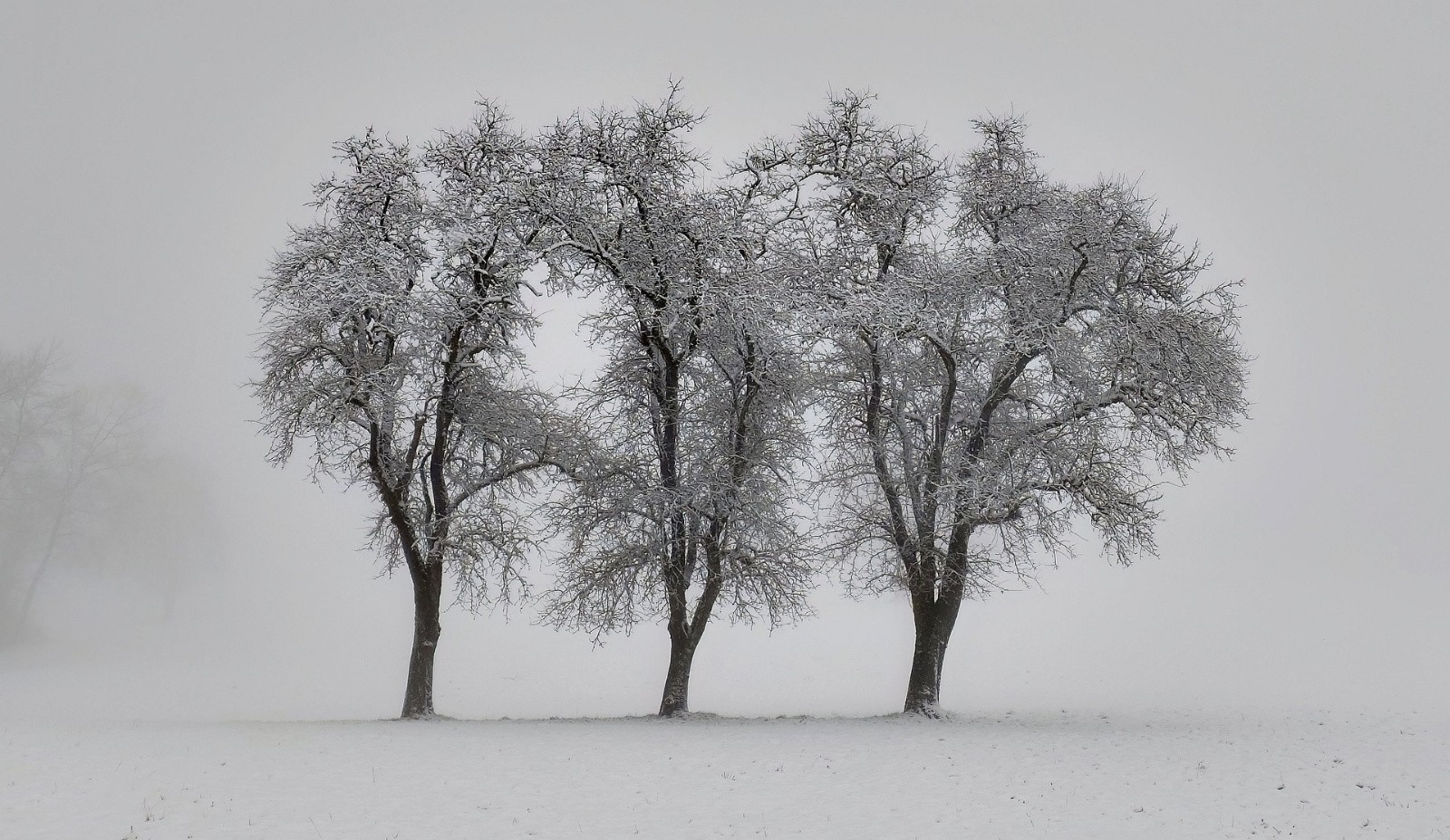 Sur les coteaux des Voirons 