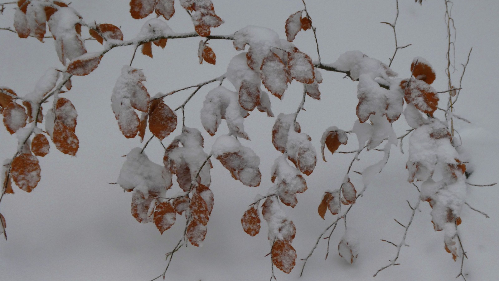 seules touches de couleur