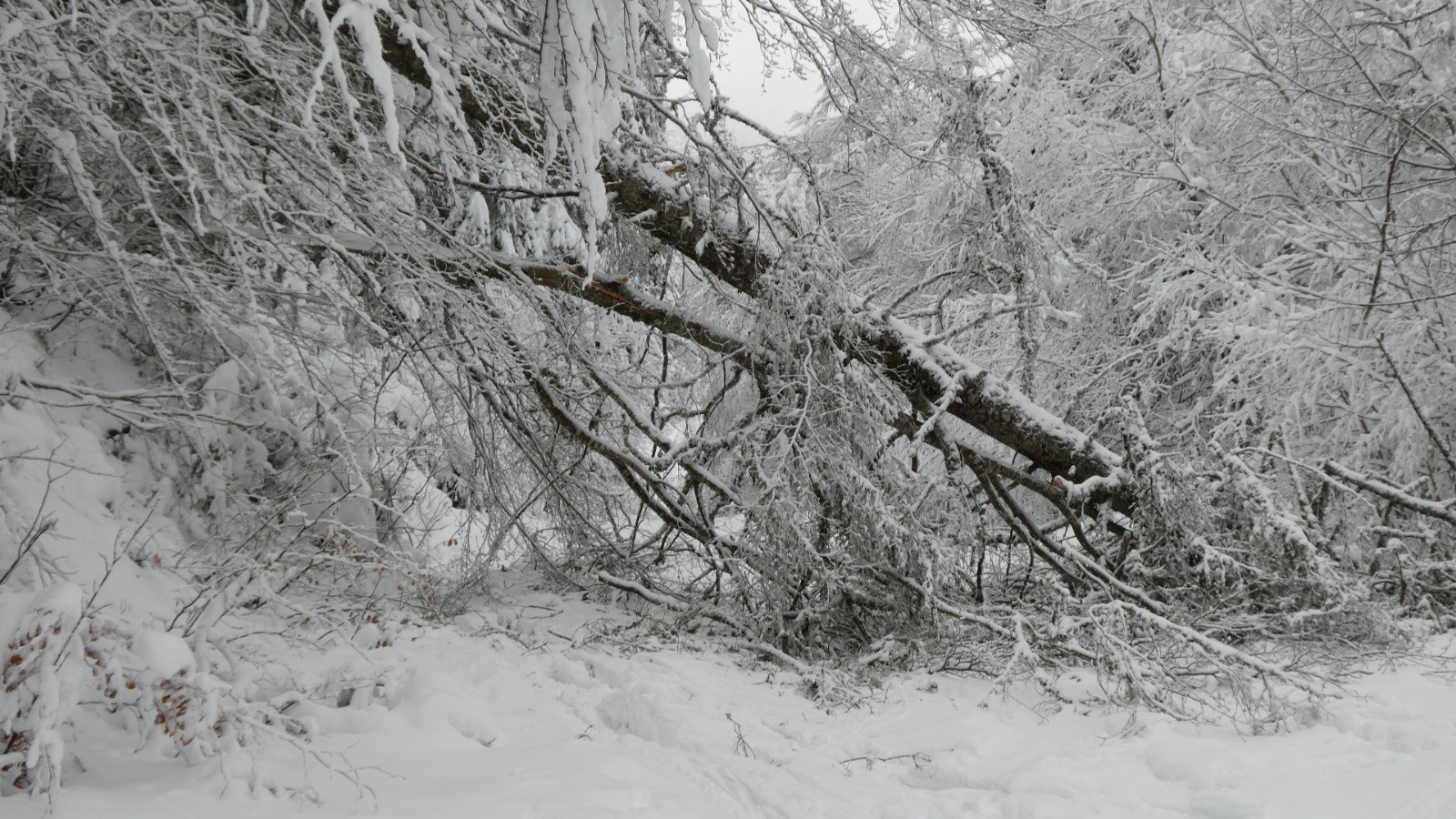 chaussée encombrée