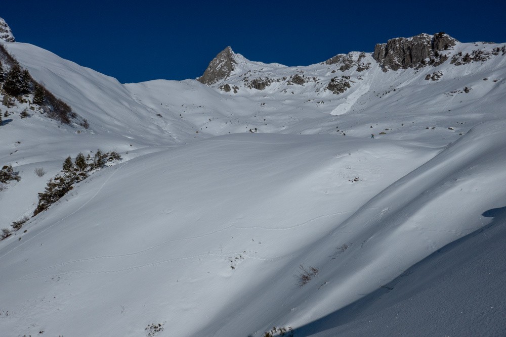 la combe sous Bronzin