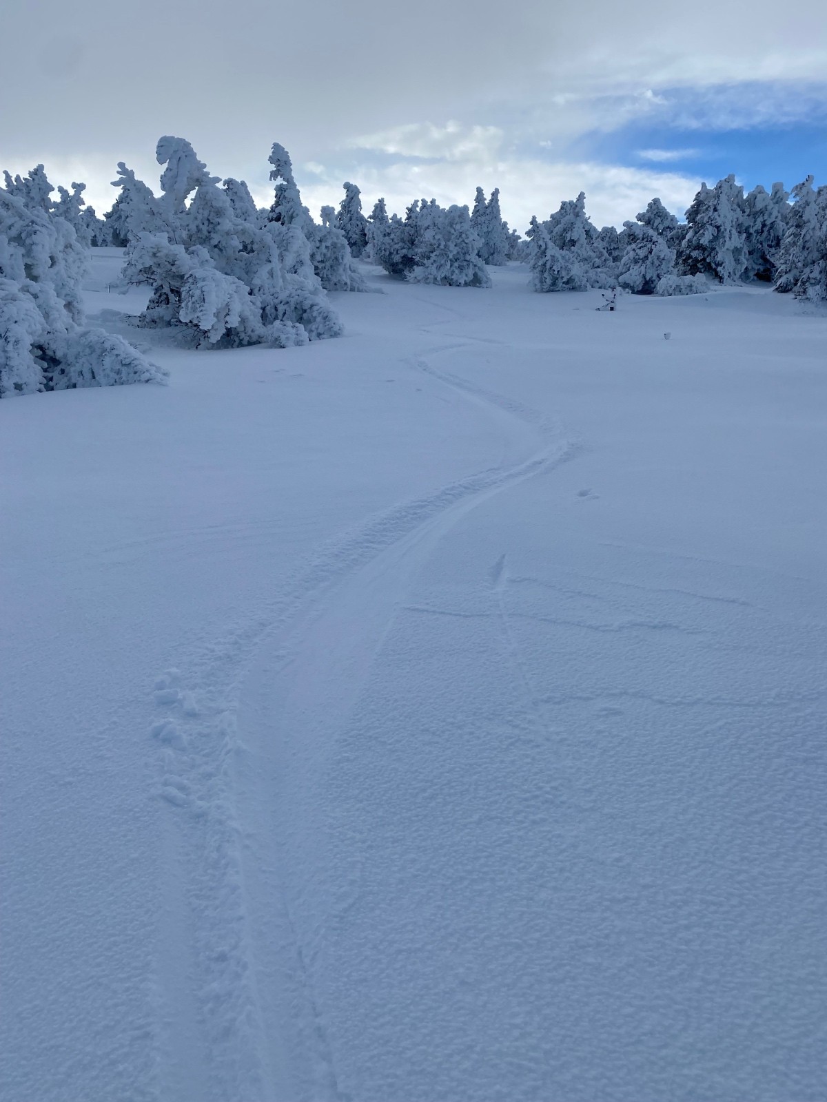 Petite trace sur le plateau sommital, neige, poudreuse, un peu plus compacté