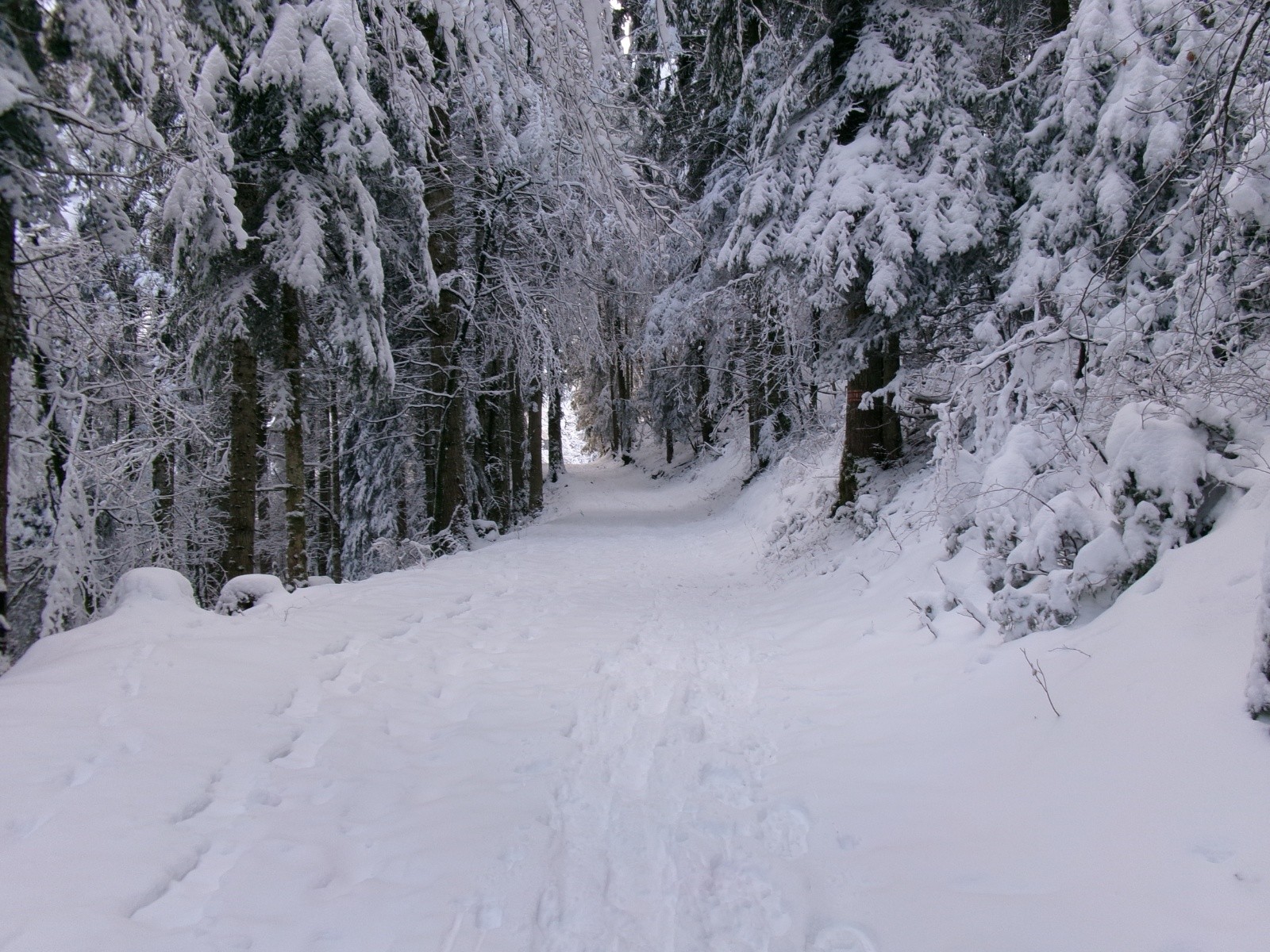 La piste de montée vers le premier col du jour