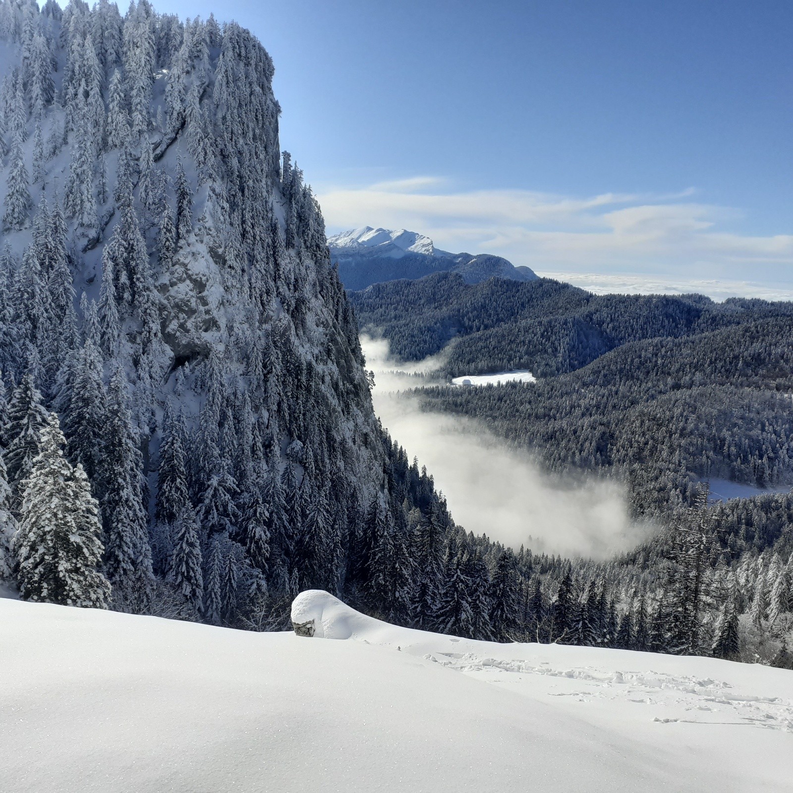 Vers la Grande Chartreuse