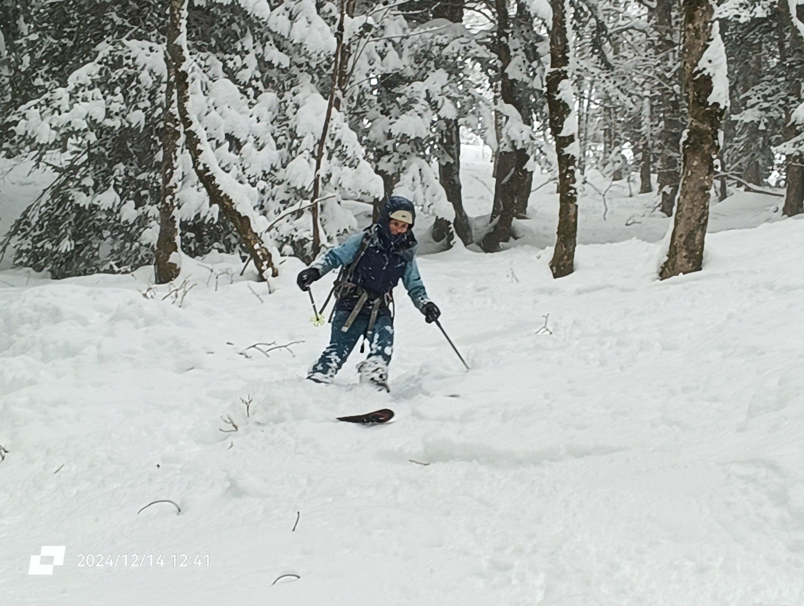 En forêt ça passe aussi !  