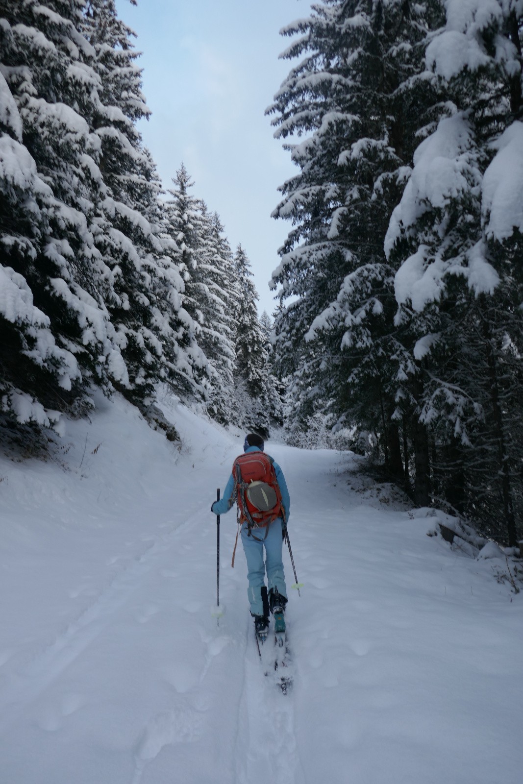 En forêt 