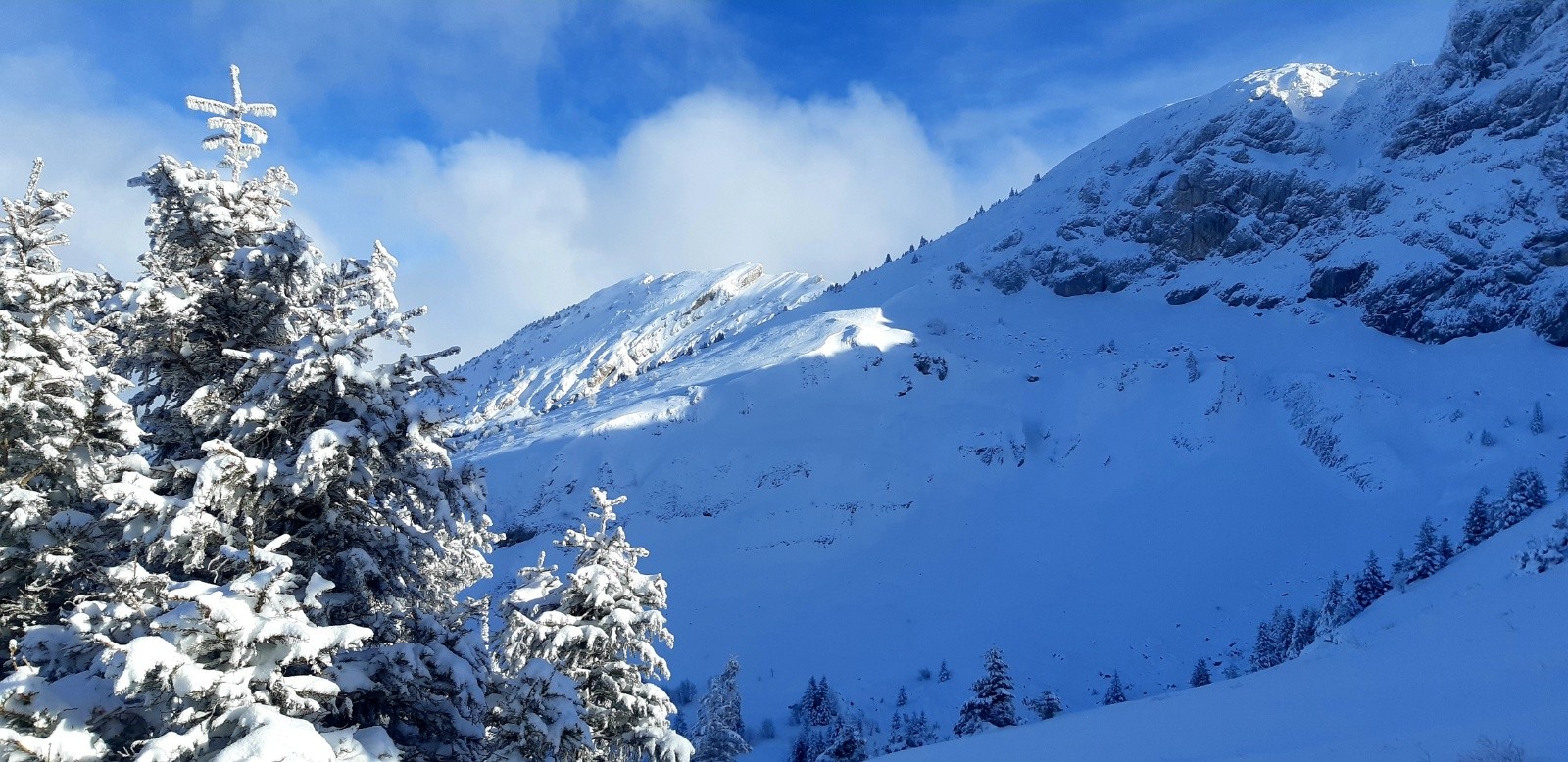  Au loin les rochers de l'ours