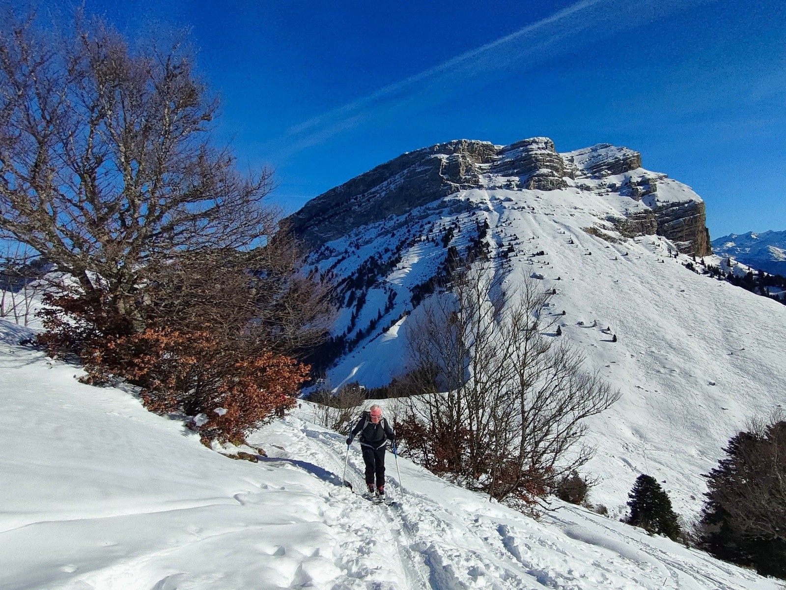  Rien à se mettre sous la Dent !