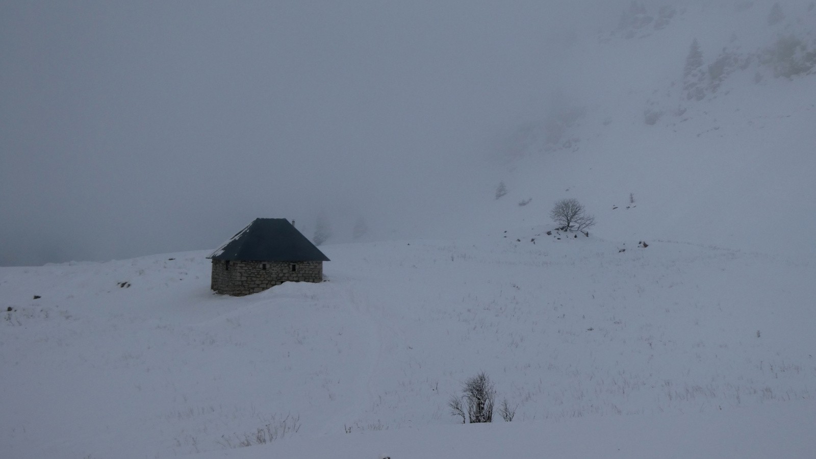 habert dans la brume 