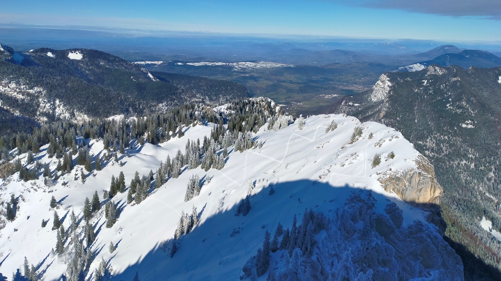 #5 Chamechine du Charmant Som Chamechine du Charmant Som