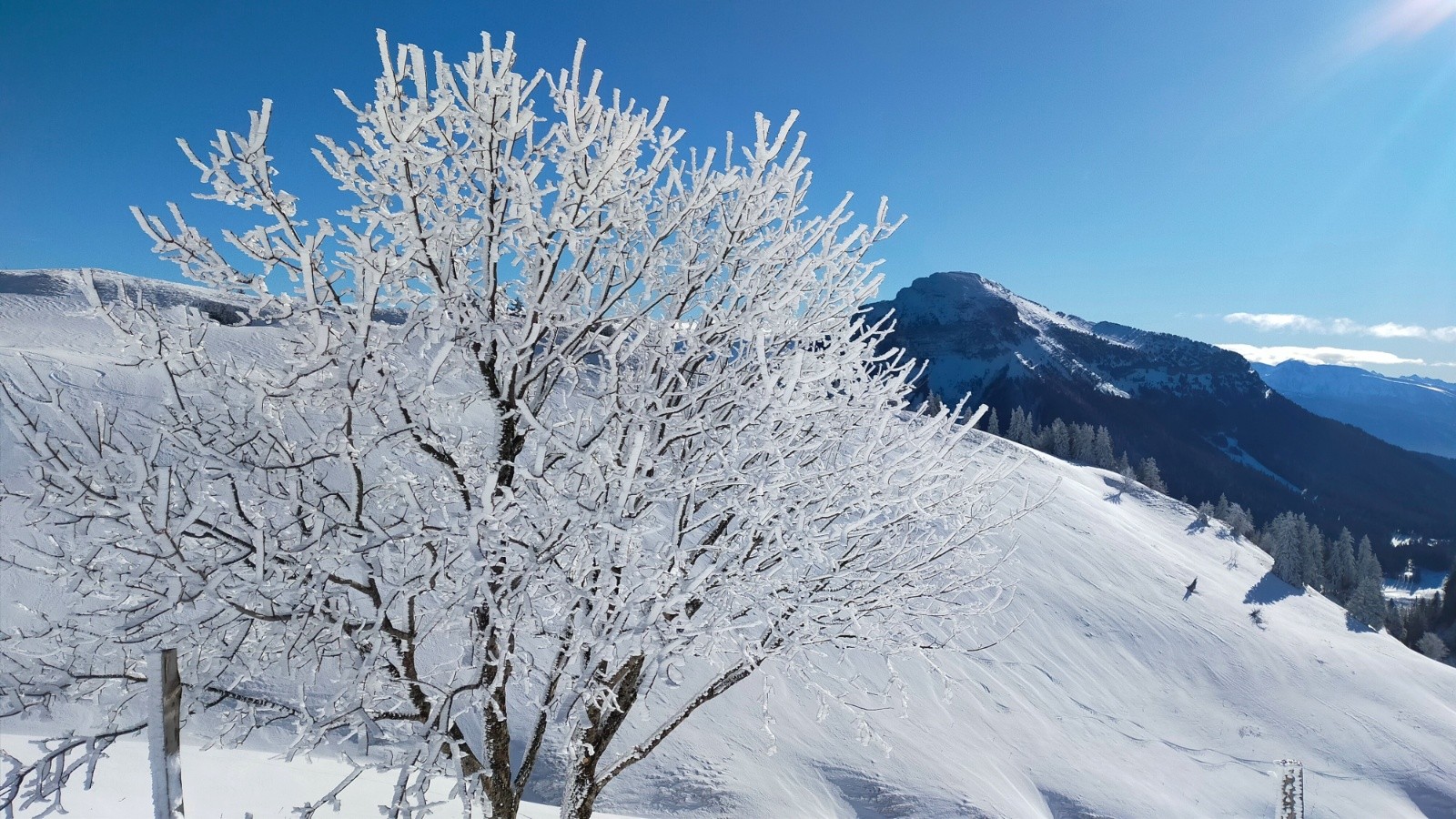 #1 Photo de solstice d Photo de solstice d'hiver, Chamechaude en montant au Charmant Som