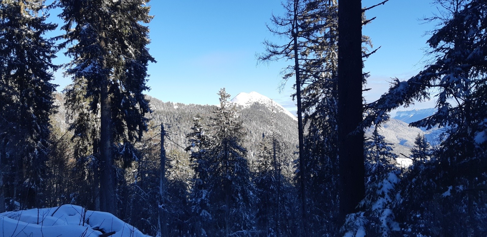  Une belle journée s'annonce !