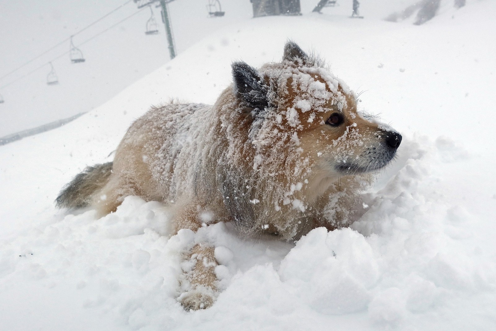 Diagnostic Performance Energétique: isolation classe A+++ 