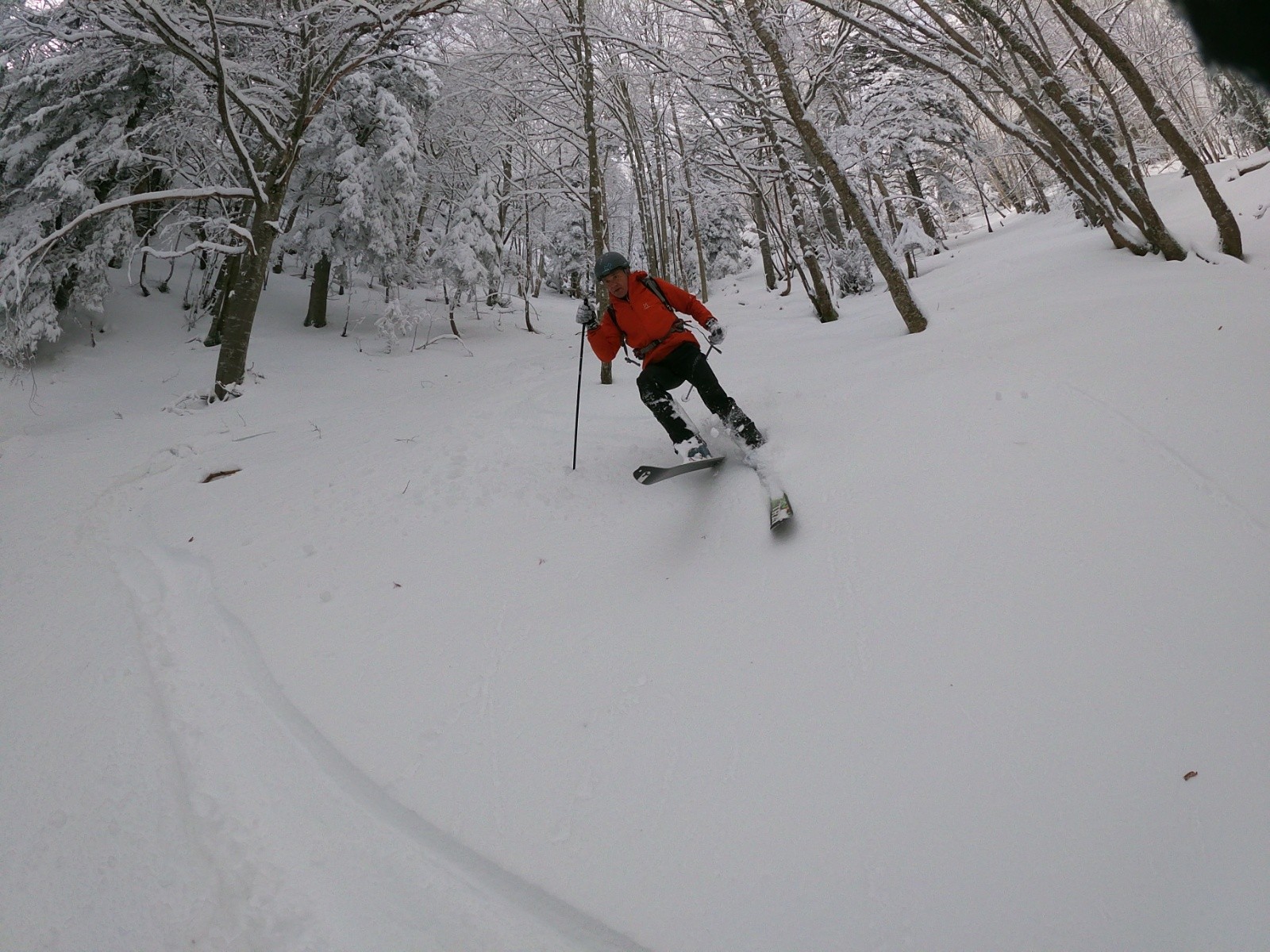 Le fond, trop vite présent&nbsp;
