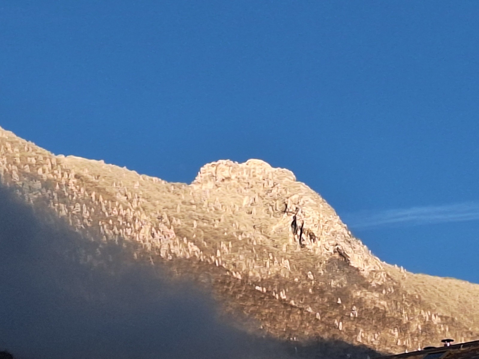 Menu du jour, planqué par la dedans&nbsp;