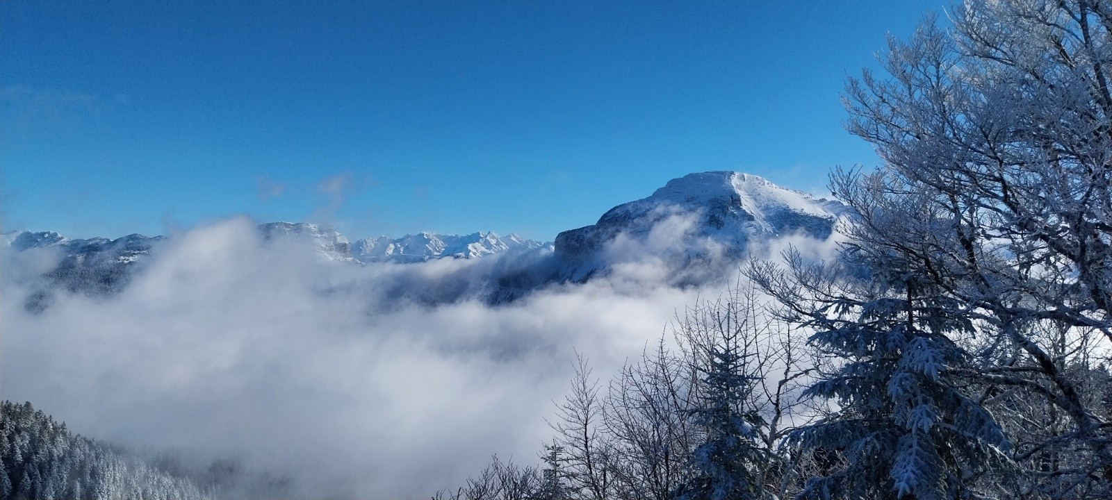 #6 vue sur Chamechaude et Belledonne nord derrière vue sur Chamechaude et Belledonne nord derrière