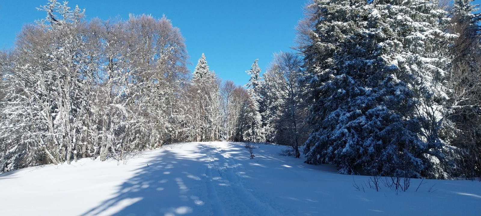 #5 Juste avant d Juste avant d'arriver sur les crêtes