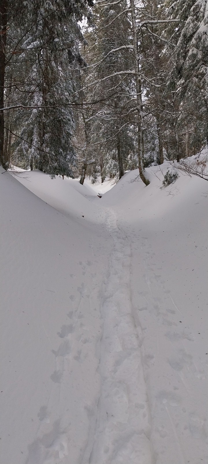 #3 la trace de montée sur le GR la trace de montée sur le GR