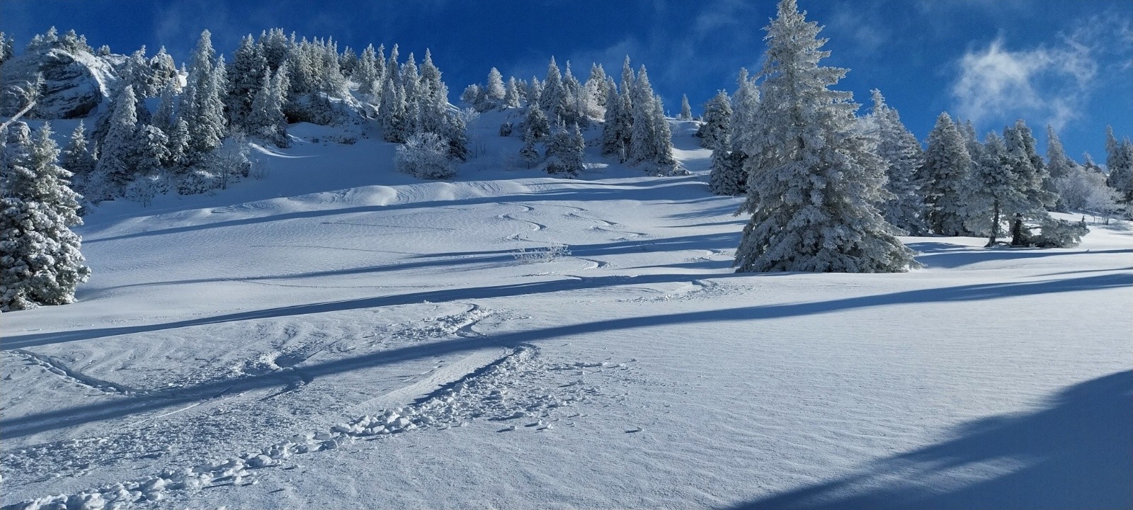 #7 Un petit plaisir personnel Un petit plaisir personnel