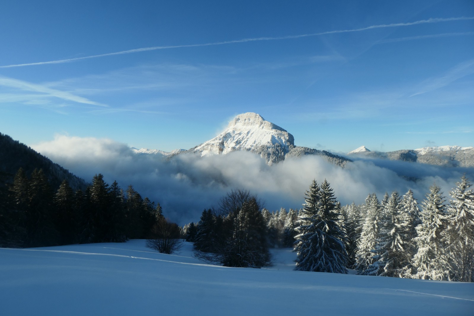 Chamechaude tout blanc aussi