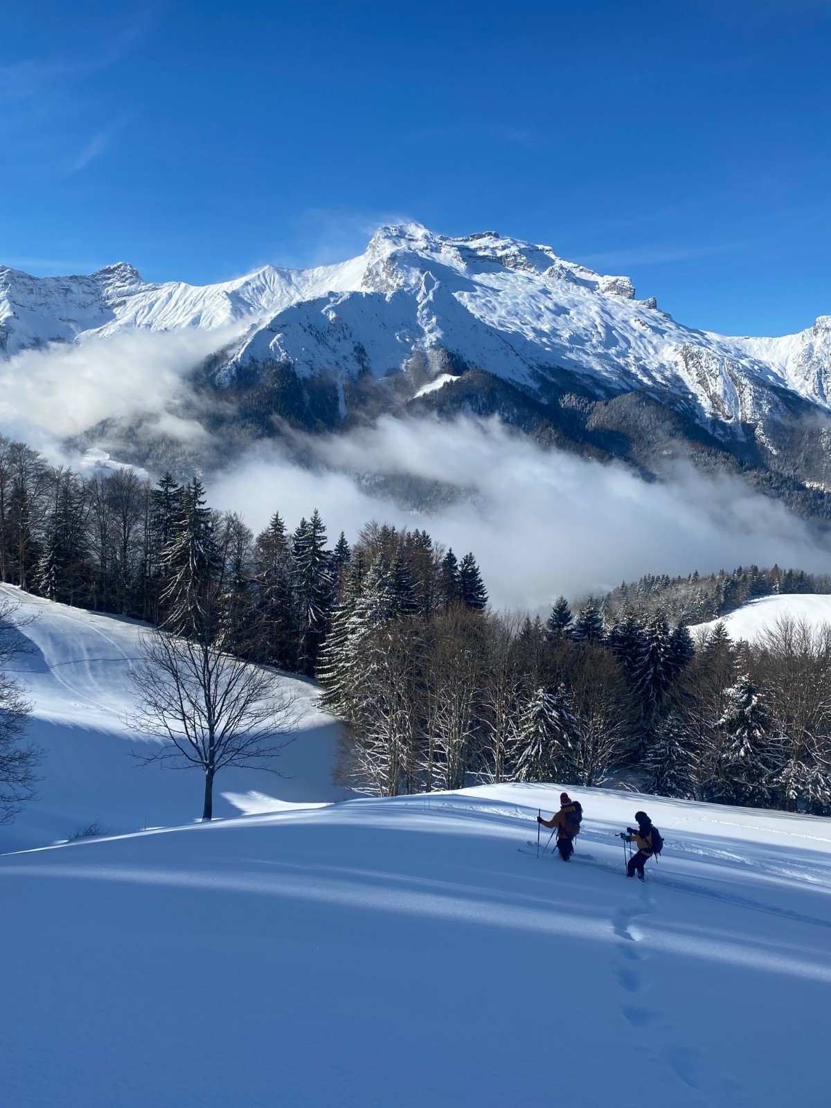 Face à la Tournette 